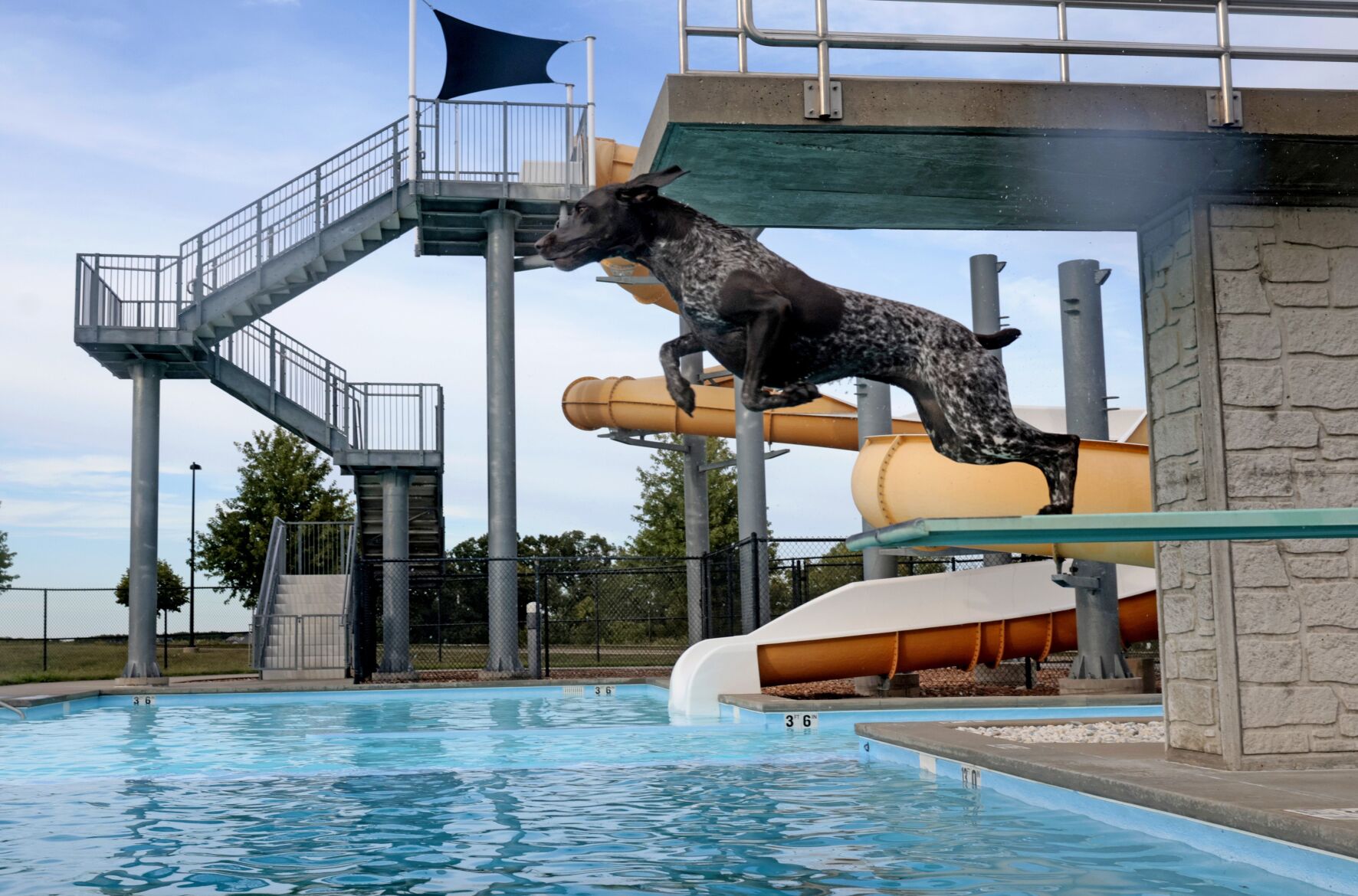 Oakley "Louganis" scores a perfect 10